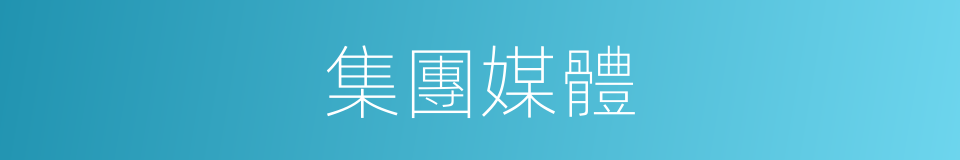 集團媒體的同義詞