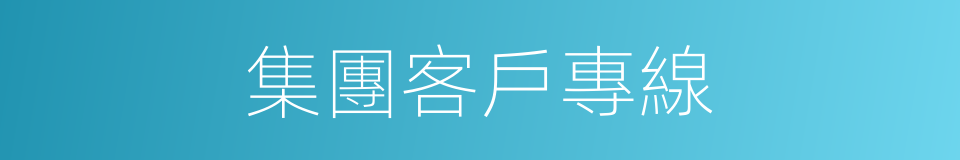 集團客戶專線的同義詞