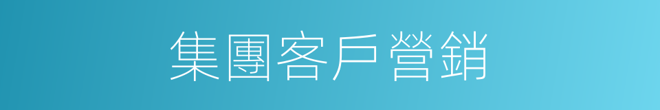 集團客戶營銷的同義詞