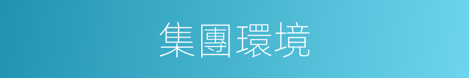 集團環境的同義詞