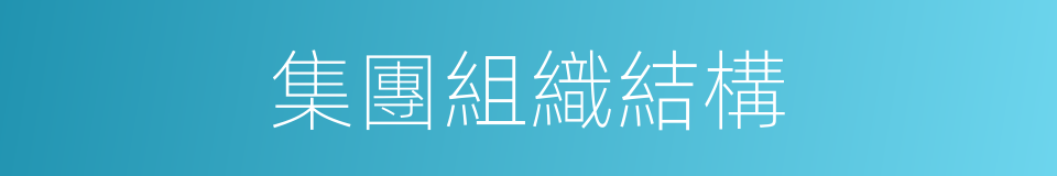 集團組織結構的同義詞