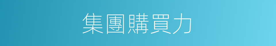 集團購買力的意思