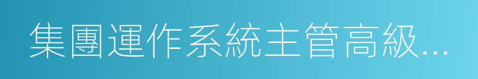 集團運作系統主管高級副總裁的同義詞