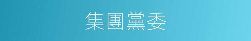 集團黨委的同義詞