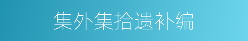 集外集拾遗补编的同义词