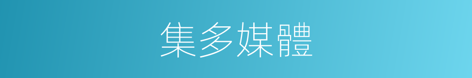 集多媒體的同義詞