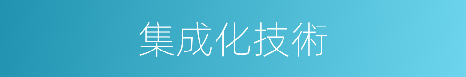 集成化技術的同義詞