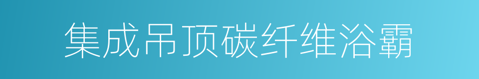 集成吊顶碳纤维浴霸的同义词