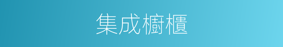 集成櫥櫃的同義詞