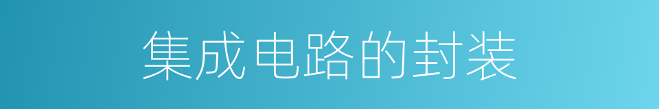 集成电路的封装的同义词