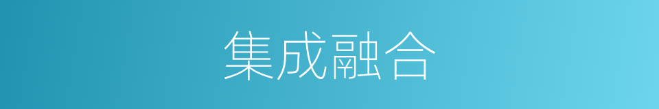 集成融合的同义词