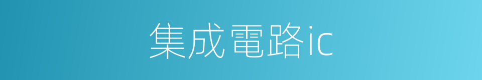 集成電路ic的同義詞