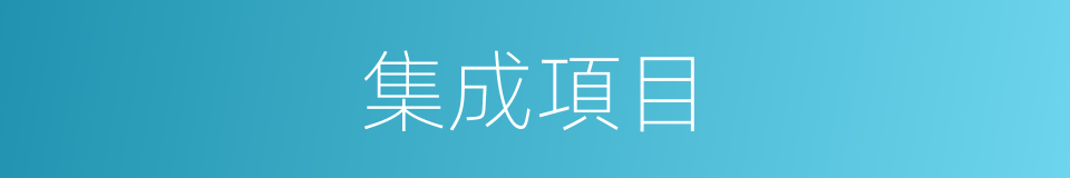集成項目的同義詞