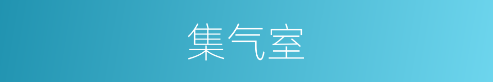 集气室的同义词