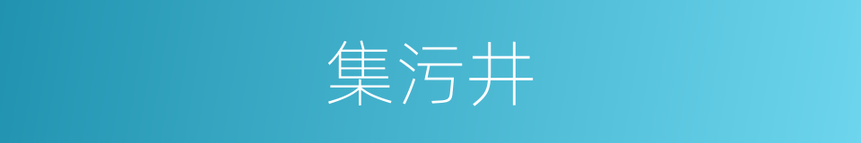 集污井的同义词