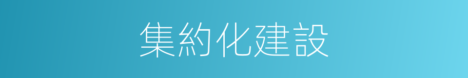 集約化建設的同義詞