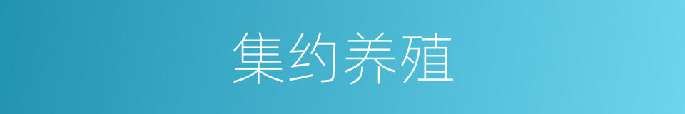 集约养殖的同义词