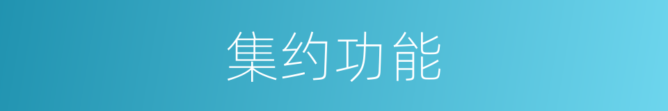 集约功能的同义词