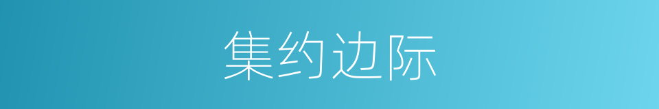 集约边际的同义词