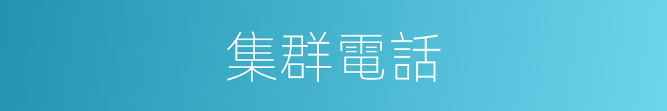 集群電話的同義詞