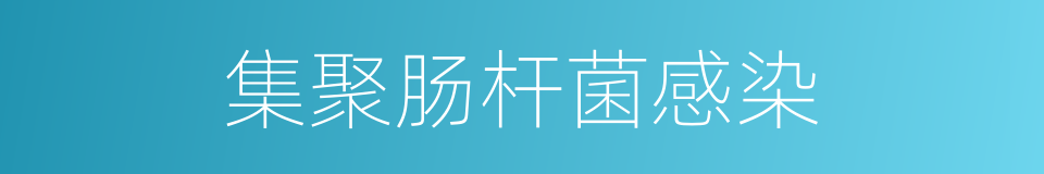 集聚肠杆菌感染的同义词