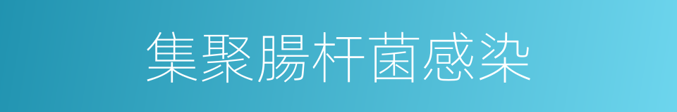 集聚腸杆菌感染的同義詞