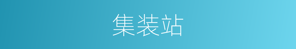集装站的同义词