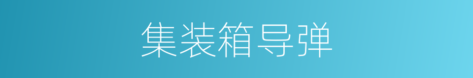 集装箱导弹的同义词