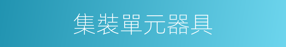 集裝單元器具的同義詞
