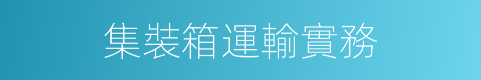 集裝箱運輸實務的同義詞