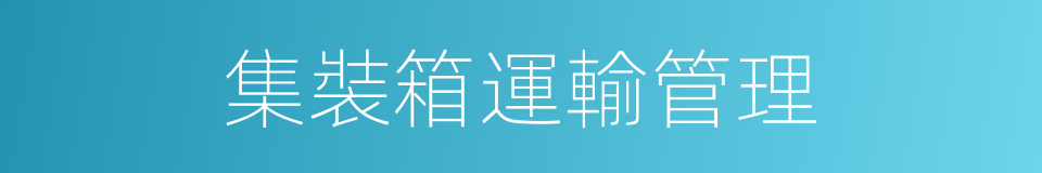 集裝箱運輸管理的同義詞