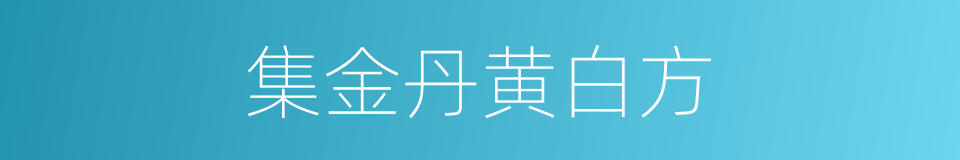 集金丹黄白方的同义词