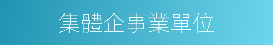 集體企事業單位的同義詞