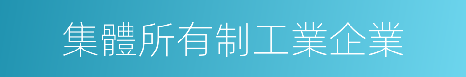 集體所有制工業企業的同義詞