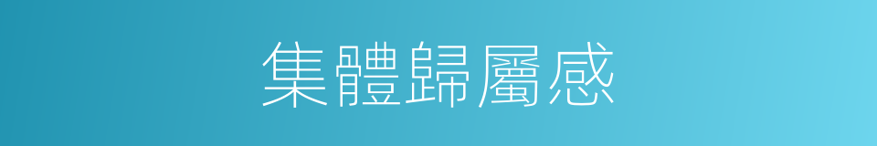 集體歸屬感的同義詞