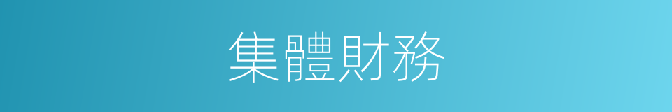 集體財務的同義詞