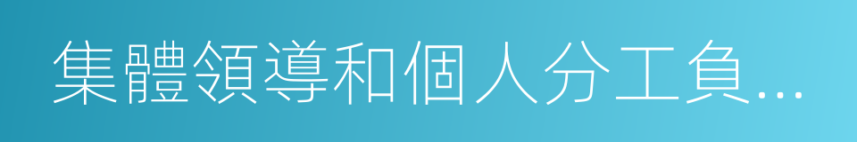 集體領導和個人分工負責相結合的同義詞