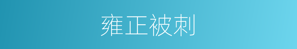 雍正被刺的同义词