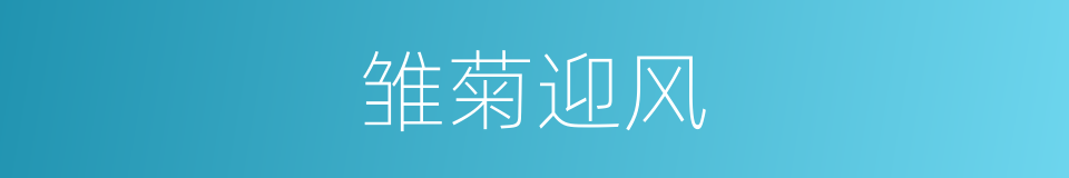 雏菊迎风的同义词