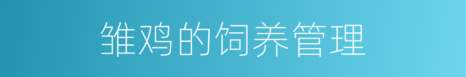 雏鸡的饲养管理的同义词