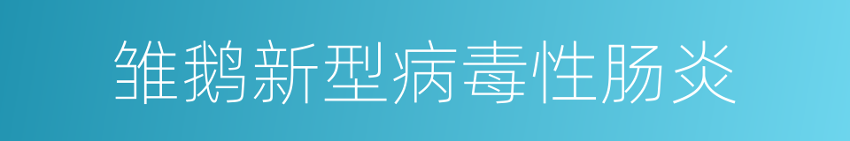 雏鹅新型病毒性肠炎的同义词