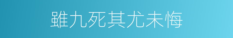 雖九死其尤未悔的同義詞