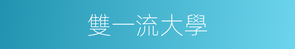 雙一流大學的意思