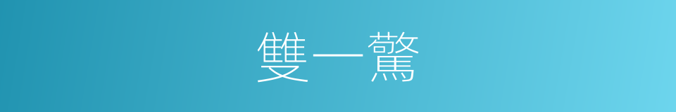 雙一驚的同義詞