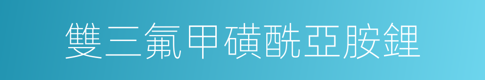 雙三氟甲磺酰亞胺鋰的同義詞
