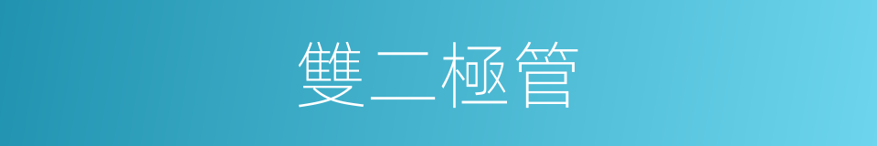 雙二極管的同義詞