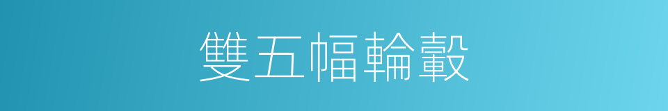 雙五幅輪轂的同義詞