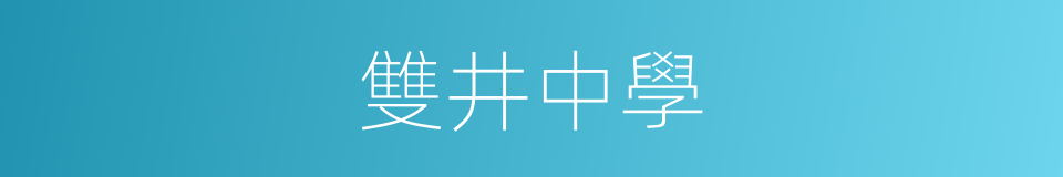 雙井中學的同義詞
