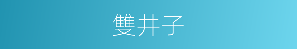 雙井子的同義詞