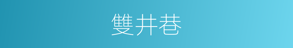 雙井巷的同義詞